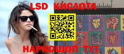 мдма Новозыбков