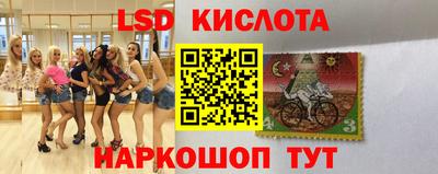 мдма Новозыбков