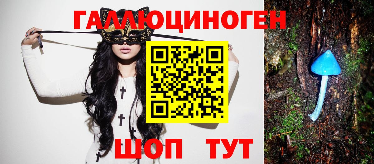 Сызрань  Псилоцибиновые грибы Psilocybine cubensis  Вход с VPN 